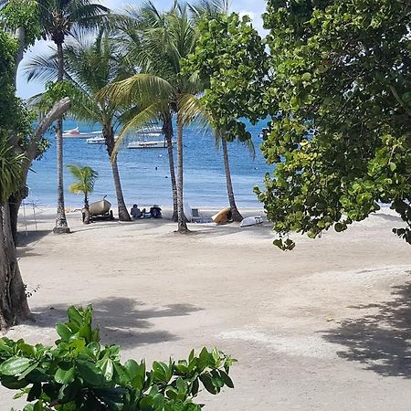 Chambre Chez L Habitant Sur La Plage Les Pieds Dans L Eau, Wifi Quartiers Anse a l'Ane 外观 照片
